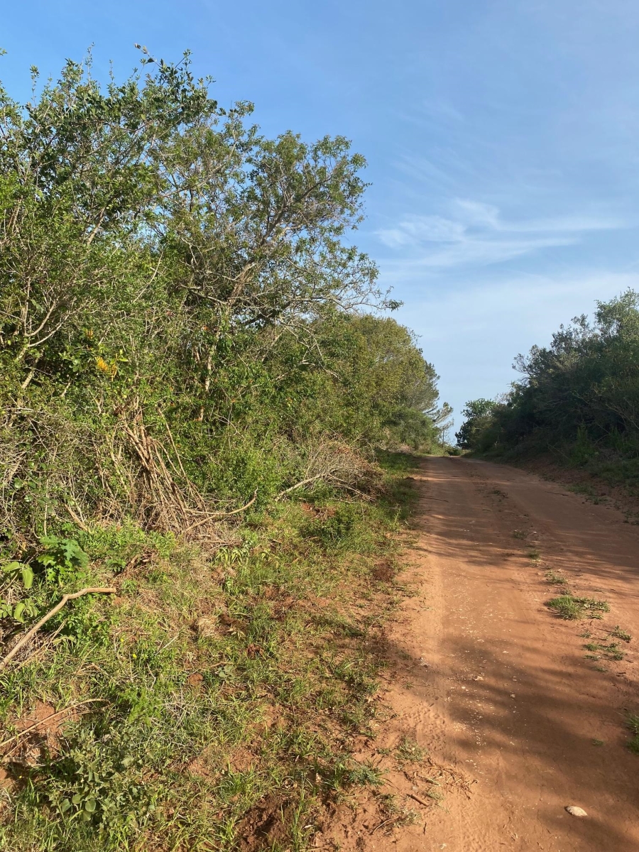 0 Bedroom Property for Sale in Bathurst Eastern Cape